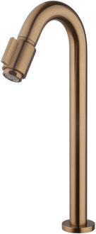 Wiesbaden Victoria Fonteinkraan - Toiletkraan - Koudwaterkraan - XL - 1/2 - Geborsteld Brons Koper