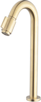 Wiesbaden Victoria Fonteinkraan - Toiletkraan - Koudwaterkraan - XL - 1/2 - Geborsteld Messing