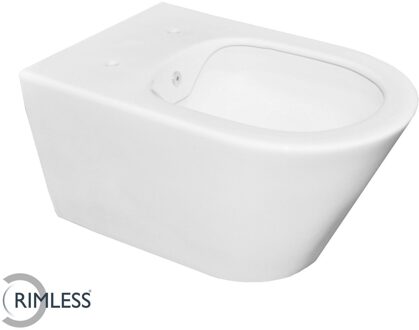 Wiesbaden Wandcloset Wiesbaden Luxe Rimless 53 cm Inclusief Bidet-functie Mat Wit