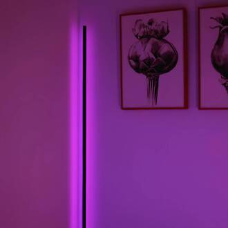 WiFi LED vloerlamp ROUND zwart 140 cm RGB CCT