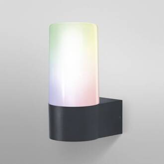 WiFi Outdoor Pipe Wall, RGBW donkergrijs, wit