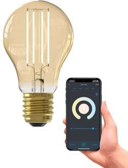 wifi Smart A60 Standaard Goud Filament E27