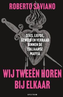 Wij tweeën horen bij elkaar -  Roberto Saviano (ISBN: 9789000396993)