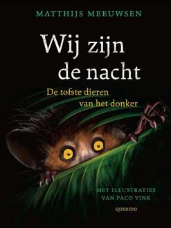 Wij zijn de nacht -  Matthijs Meeuwsen (ISBN: 9789045130057)