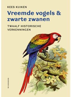 Wijdemeer Louw Dijkstra Vreemde Vogels & Zwarte Zwanen - Kees Kuiken