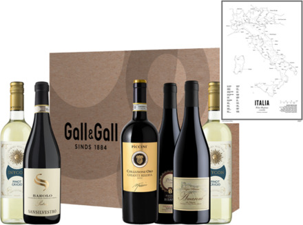 Wijnbox Wereldse Wijnen Italië met WIJCK poster 6X75CL