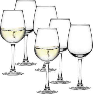 Wijnglazen Elixir - 12x stuks - witte wijnglazen - 240 ml