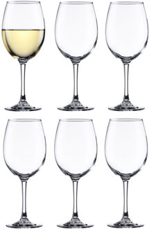 wijnglazen Syrah - 6x stuks - voor rode en witte wijn - 250 ml