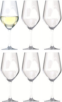 wijnglazen Verdot - 6x stuks - voor rode en witte wijn - 420 ml