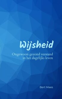 Wijsheid - Bert Maes - ebook