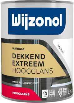 Wijzonol Dekkend Extreem Hoogglanslak Ral 9016