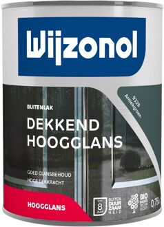 Wijzonol Dekkend Hoogglanslak - 0,75l - 9328 - Antiekgroen