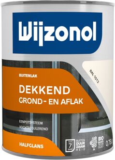Wijzonol Grond- En Aflak In Één Ral 1013