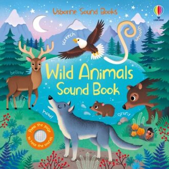 Wild Animals Sound Book - Sound Books - Sam Taplin