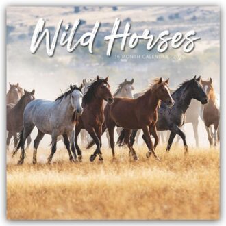 Wild Horses Square Wall Sunday Start Cal - Browntrout Wandkalender - Carousel Calendar