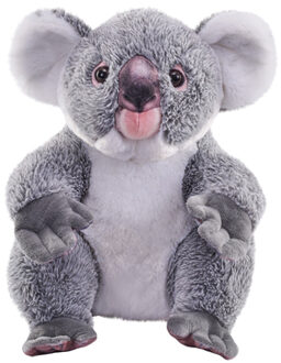 Wild Republic Knuffel Artiest Koala, 38 cm Grijs