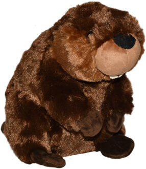 Wild Republic knuffel Bever - pluche - 30 cm - bruin - knuffeldier