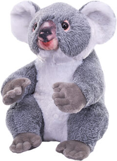 Wild Republic koala beer knuffel - 30 cm - Pluche - Australische dieren - knuffeldieren Grijs