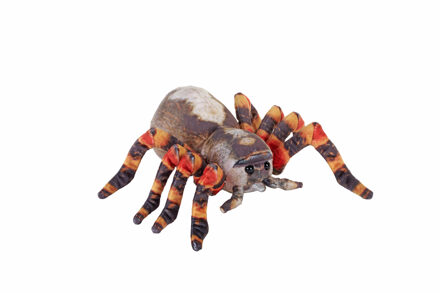 Wild Republic tarantula knuffel - 50 cm - bruin - vogelspinnen - spinnen - dierenknuffels