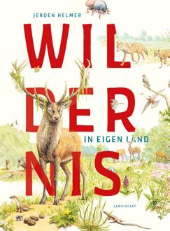 Wildernis In Eigen Land - Jeroen Helmer