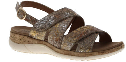 Wilize velcro snake | dames | maat: | imitatieleer - maat 39 Goud