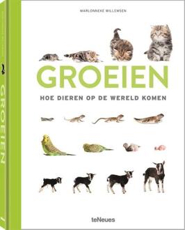Willemsen, M: Groeien
