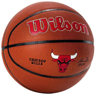 Wilson Team alliance chicago bulls basketbal Bruin - 7