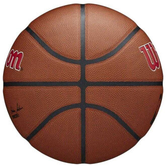 Wilson Team alliantie toronto raptors nba basketbal Bruin - 7