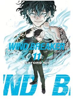 Wind Breaker 11 - Wind Breaker - Satoru Nii