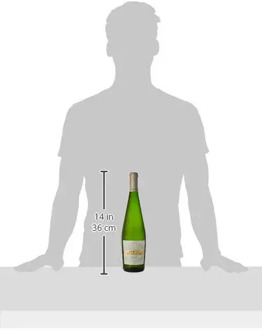 Wine white Ermita D'Espiells, Juvé and Camps, D.O Penedes, white wine