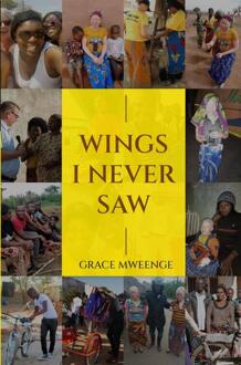 Wings I Never Saw - Grace Mweenge