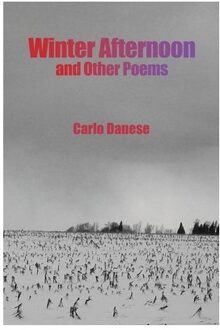 Winter Afternoon And Other Poems - Carlo Danese