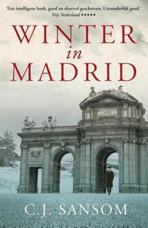 Winter In Madrid