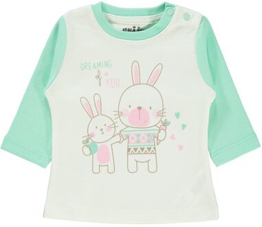 Winter Lange Mouwen Gedrukt Gebreide Top Singles Top Baby Interlock Crew Hals Meisje Sweatshirt 3 12 Maanden munt groen / 12m