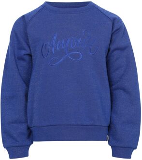 winter sweater meisjes - blauw - lurex - maat 110