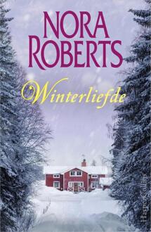Winterliefde - Boek Nora Roberts (9402731806)