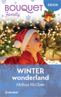 Winterwonderland -  Melissa McClone (ISBN: 9789402581560)