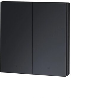 Wireless Remote Switch H1 (double rocker) - Grijs