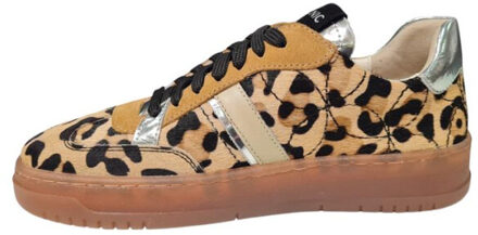 Wish legacy 3 Bruin - 39