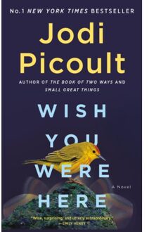 Wish You Were Here - Jodi Picoult