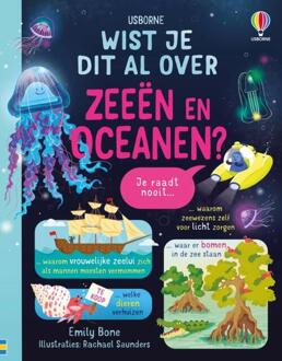 Wist je dit al over zeeën en oceanen? -   (ISBN: 9781835403648)