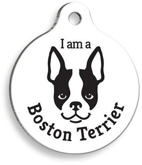 Wit Boston Terrier Ronde Hond Armband