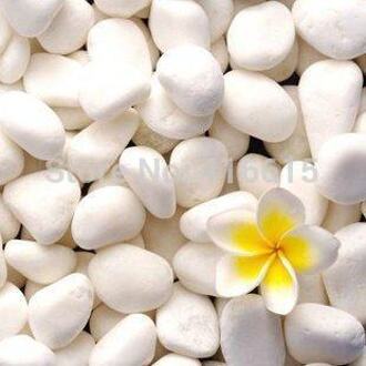 Wit Kleine Stenen Tuin Decoratie Hydrocultuur Planten Bloempot Witte Steen Tuinieren Leveringen Tuin Decor 100g