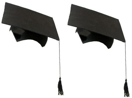 Witbaard 2x stuks afstudeer hoeden geslaagd zwart met kwast voor volwassenen - Verkleedhoofddeksels