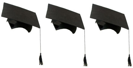 Witbaard Afstudeerhoedje geslaagd met kwast - 10x stuks - volwassenen - zwart - Examen diploma uitreiking