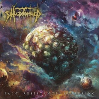 Without The Kids We Would