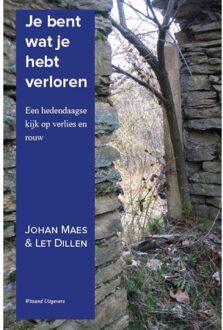 Witsand Uitgevers Bvba Een nieuwe visie op rouw - Boek Johan Maes (9492011069)