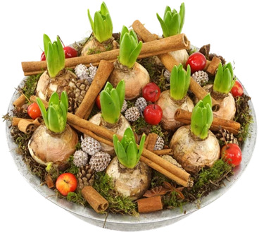 Witte Hyacinten deco schaal ca. Ø 30cm