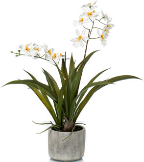 Witte orchidee kunstplant in keramische pot 45 cm - Kunstplanten Multikleur