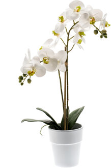 Witte orchidee kunstplant in kunststof pot 65 cm - Kunstplanten Multikleur